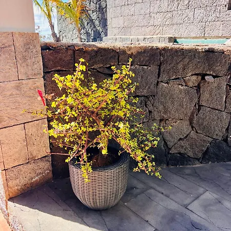 La Majada De Machin - Apartamento Rural Con Jardin Privado Entre Volcanes