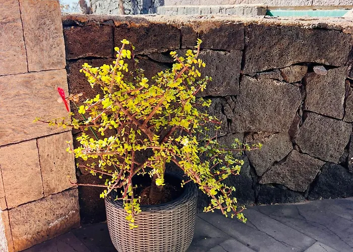 La Majada De Machín